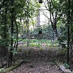 Casa Luminosa Con Giardino In Centro Storico * Reggio Emilia