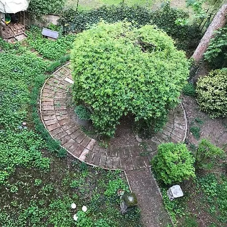 Casa Luminosa Con Giardino In Centro Storico レッジョ・エミリア